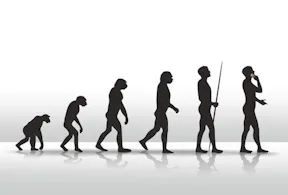 Evolução
